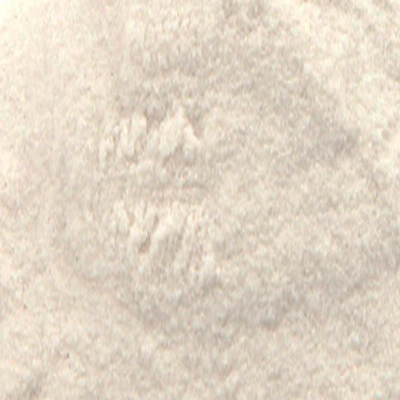 SHARK CARTILAGE POWDER